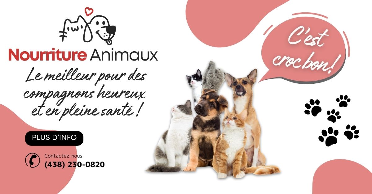 Nourriture et accessoires pour animaux domestiques et animaux de ferme à Saint-Cyprien, Sainte-Justine